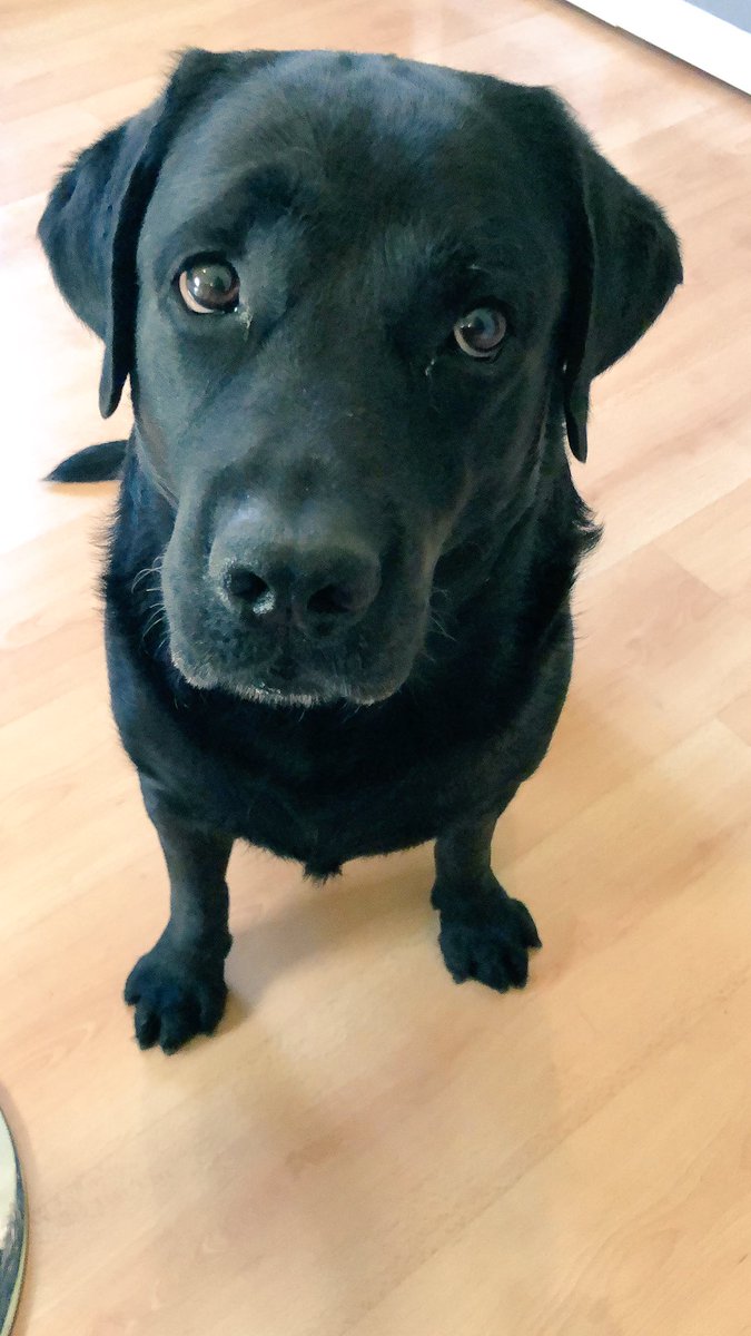 MajaRadSplit's tweet image. 