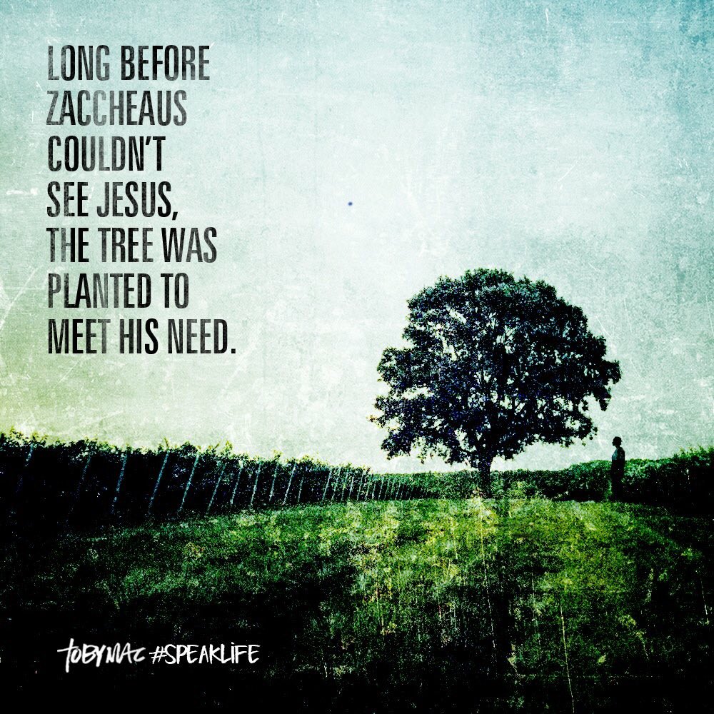 StephanieCappJohnson (@skj_johnson20) on Twitter photo 