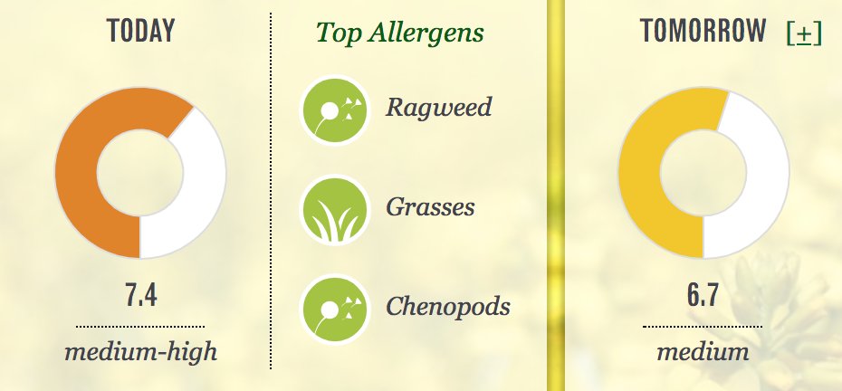 LisaHuttoMD's tweet image. Ragweed is the root of your fall allergy evils! If you need long term relief from your symptoms, give us a call at 765-9435.
#asthma #allergy #sinusitis #scnews #sctweets #columbiasc