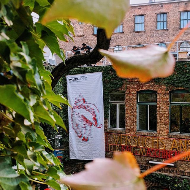 wukvienna's tweet photo. @wavesvienna we're ready for you! See you on thursday π€π #wavesvienna #wuk #wavesvienna2018 #waves2018 https://t.co/O9p6eu6JiP https://t.co/MmVvNzcSP0