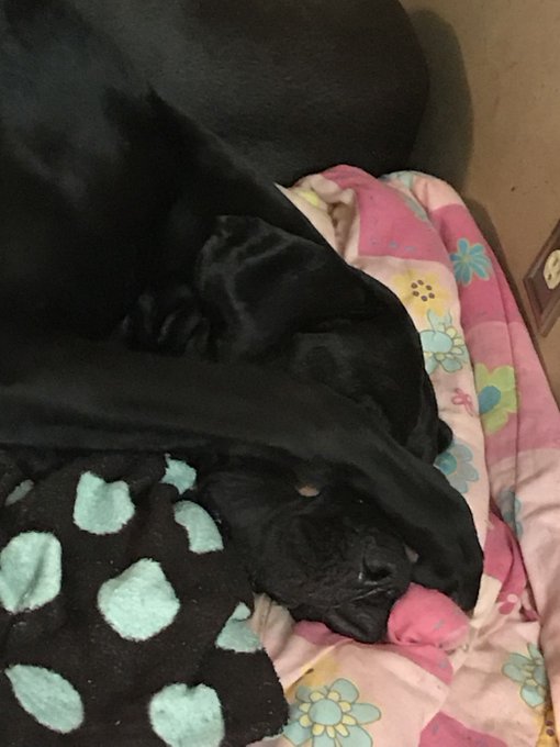 Watch Bunny's leaked NSFW photo on TwXstars