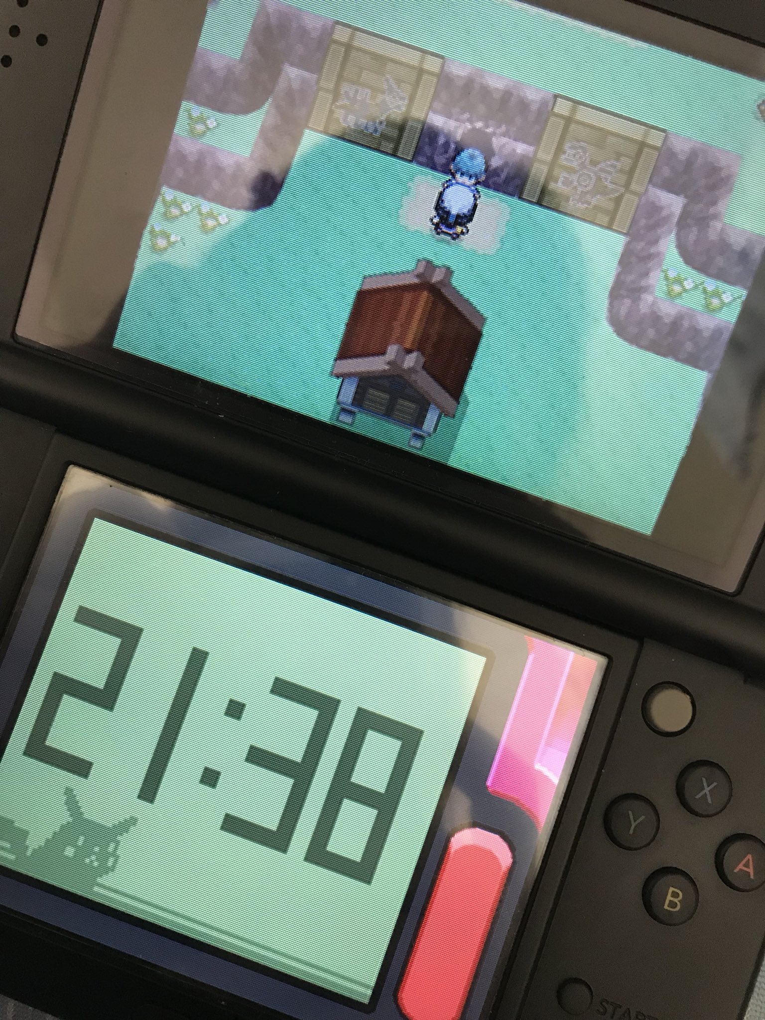 雑種 貝殻 限りなく Switch ポケモン 昔 充電 裁判所 最高