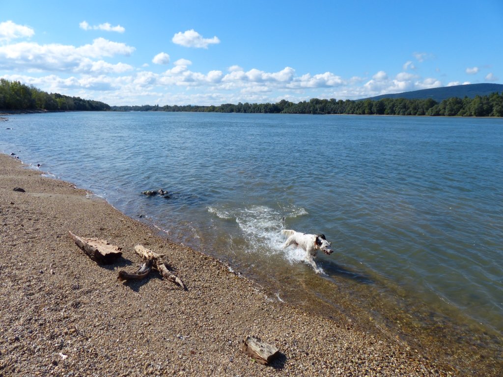 Tweet_Bus Ticket tweet media