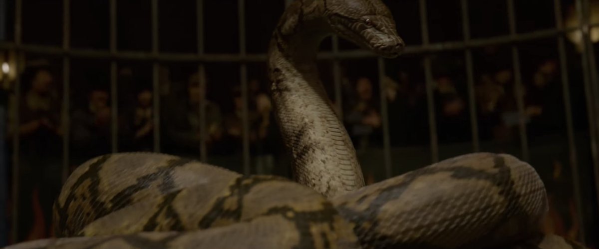 eleanorbate's tweet photo. there are two parts of the new #CrimesOfGrindelwald trailer that literally made me scream:
– maledictus turning into a snake and credence calling her nagini
– dumbledore looking into the mirror of erised to see jamie campbell bower as young grindelwald https://t.co/4LZWkXVLB1