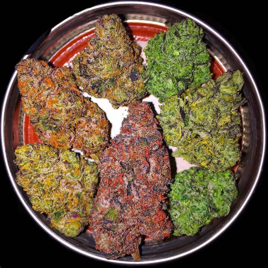 LeeLionSA's tweet photo. So It's marry Jane is Legal in South Africa Now...  ? Just Want To know if I heard right https://t.co/4CNl8ut66S