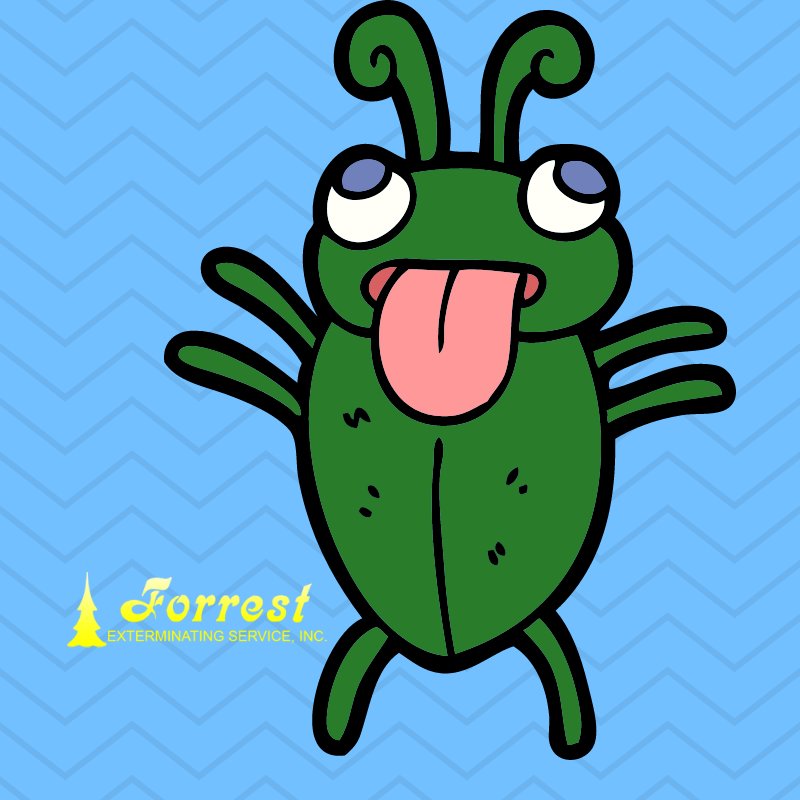 ForrestExterm's tweet image. Bugs running through your house?  Call 866-527-4610 today to schedule an estimate! #termites #pestcontrol #moisturecontrol forrestexterminating.com