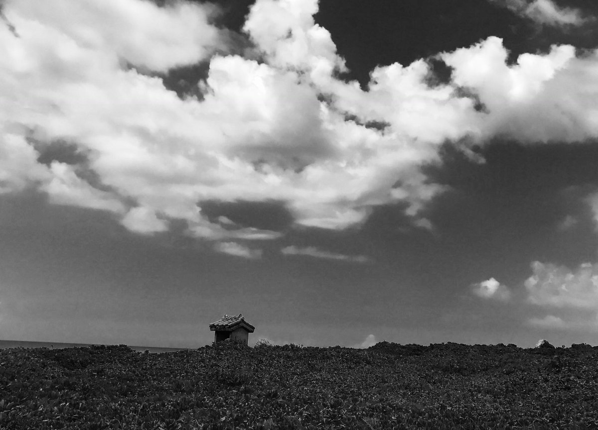 Vante. Vante kim. Vante фотографии. Vante фотограф. Черно белая эстетика.