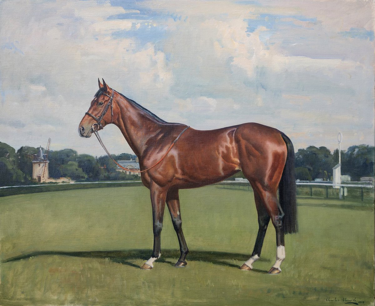 cchurchartist's tweet photo. #Teppal #pouledessaidespouliches winner #2018 #oiloncanvas #portrait #longchamps #paris #classicwinner #camacho @SimcockRacing @BlandfordBldstk https://t.co/uKPE6KhD74