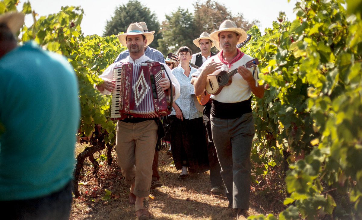 ma_creative_'s tweet photo. Providing a different experience on the #harvest time was the purpose of the family #PrimusLucas, where family, friends and clients that came from around the world, shared joyful moments. All these moments have been recorded by the camera lens of #macreativeagency https://t.co/wzE3YXdXr7