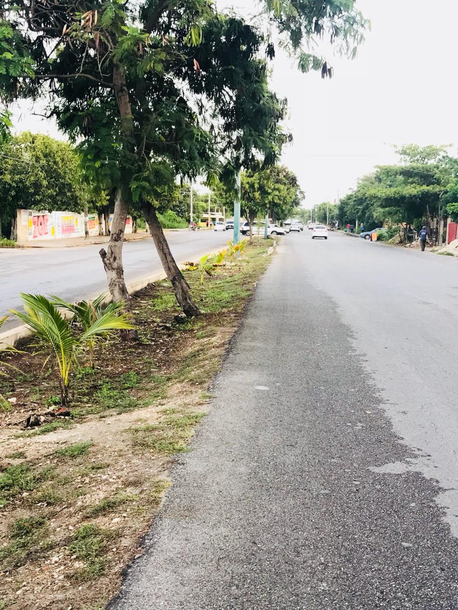 #BrigadasVerdes realizan trabajos de chapeo, limpieza y retiro de basura y desechos vegetales en Av. Costa Maya #NoPararemos

<a href="/rembertoestrada/">Remberto Estrada</a> <a href="/RogerEspinosaR/">Roger EsPro</a> <a href="/jlcgcachorro/">jlcg cachorro</a> <a href="/AytoCancun/">Ayto Benito Juárez</a>