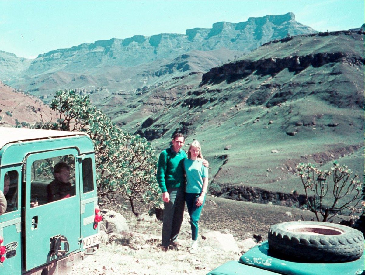 Janine Stephen tweet media