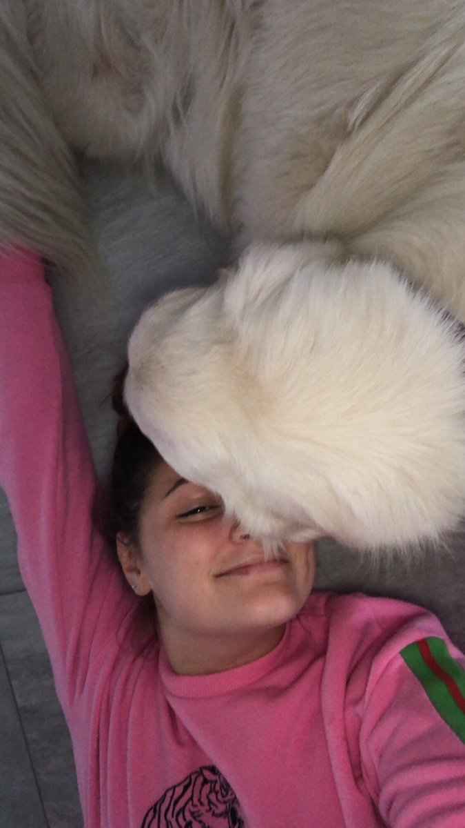 eloisebillard29's tweet photo. repose en paix mon amr, on se voit la haut, pas trop de bêtises et bon voyage..😢❤️ https://t.co/sBF1LxnRHf