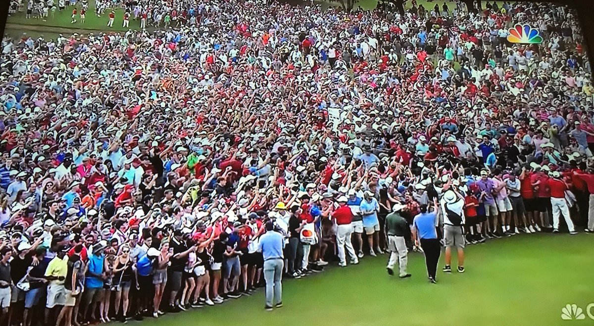 Tiger aka the needle...