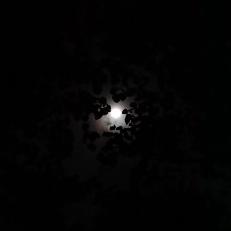 upastrosoc's tweet photo. The September 2018 Full Moon aka Corn Moon
Skies have cleared up here at the UPD/QC Area so if you're planning to gaze at The (Full) Moon now's your chance! #LunarObs
The Moon during 9:10 PM https://t.co/yVfUP3Jxex