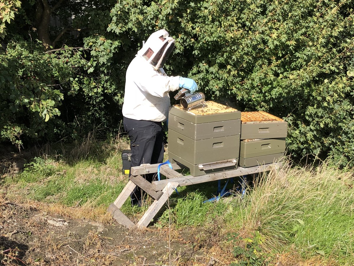 harrysfarm's tweet image. Imkerij @Deflevobij controleert de bijenkast die bij ons bedrijf naast de akkerrand staat. #honing