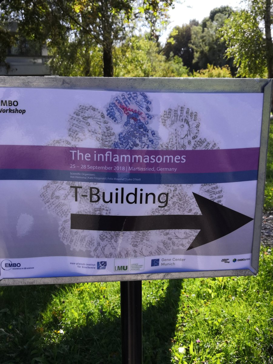 ousitanio's tweet photo. Ready to start! #inflammasome #IFI16 #ALRs #HCMV @EMBO @unito @UniAvogadro https://t.co/kjrjGD2vKi