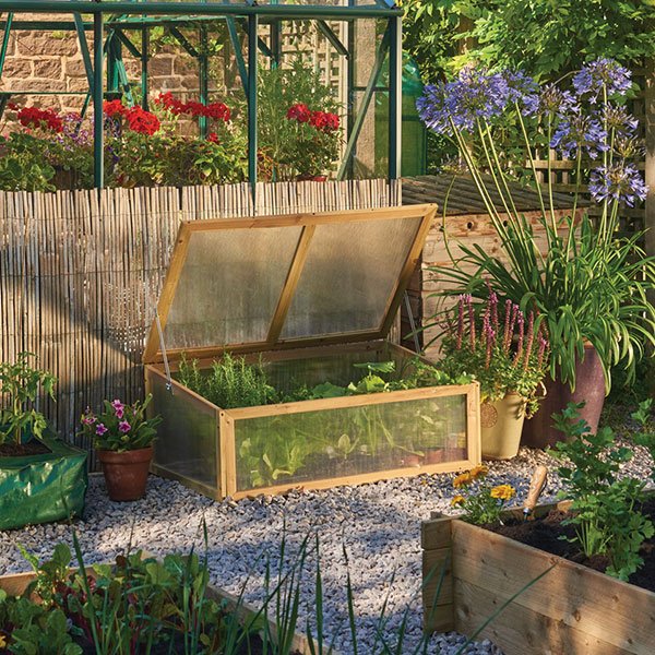 KingsSeeds_UK's tweet image. ***Wooden Cold Frame*** For growing and protecting vegetables and ornamental plants. Helps provide frost protection in spring and protects small plants from winter weather. Hinged lid with locking stays for ventilation. 
Order now ➡️ bit.ly/2IiuwRC #coldframe #plants