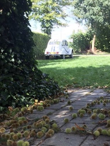 #eendenrally in de herfst #Dordrecht