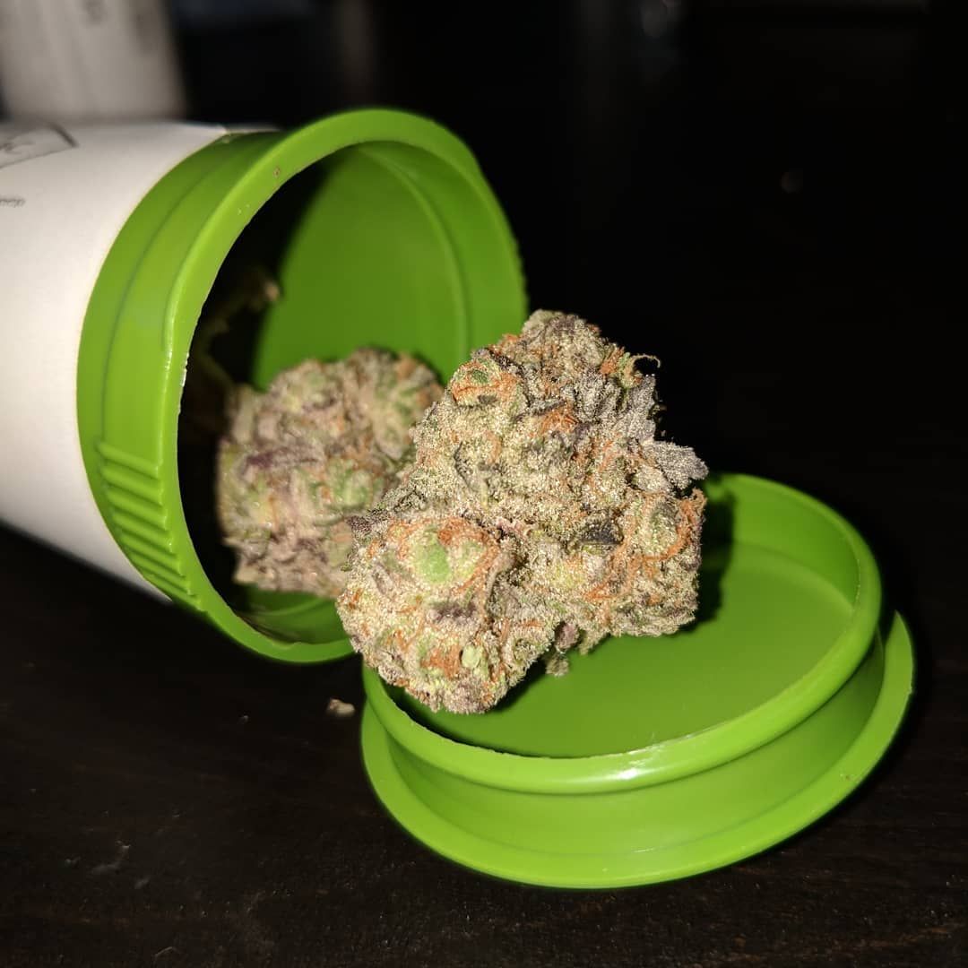 NeilSamra1's tweet photo. That Chocolope🍫 ain't no punk that shit is some straight HEAT🔥Its 1 of my top strains for stress &amp; fatigue💤 #GrowYourOwn✂ #ChocolateThai × #CannalopeHaze = #Chocolope #Sativa #StressReliever #Energize #StayLifted🚀 https://t.co/5RbqBD4aDm