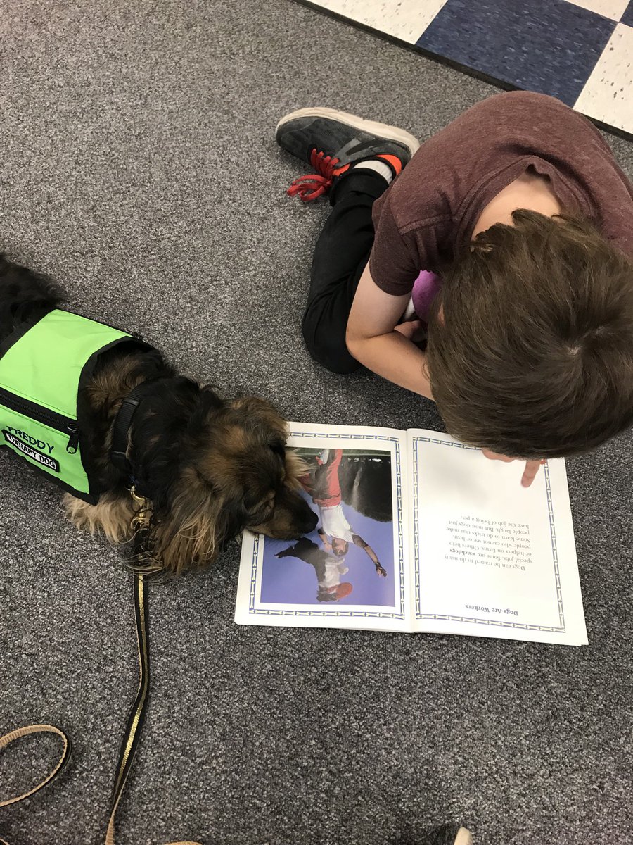 FreddyPickles's tweet photo. @dog_rates My sweet boy had a herniated disc and had to have spinal surgery. He’s a therapy dogtor who visits hospitals and schools and helps so many, but now he’s the one who needs help. ❤️ https://t.co/66LsvDPkjq https://t.co/QSntWG15Nv