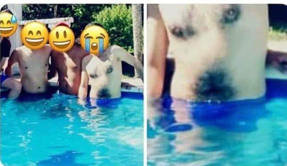 Trend_Humor's tweet image. 