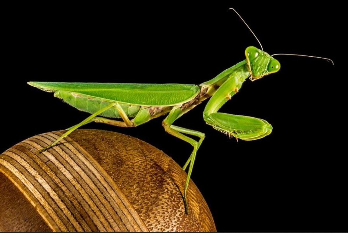 Leaked:Ann Coulter Nude Leaked:Ann Coulter Nude