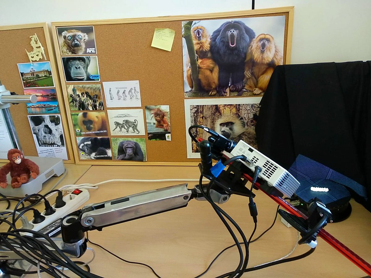 Yas_Avia's tweet image. Starting the step 2: Scanning the #UZH and #RMCA dental sample

@africamuseumbe @UZH_Science #primates #dental