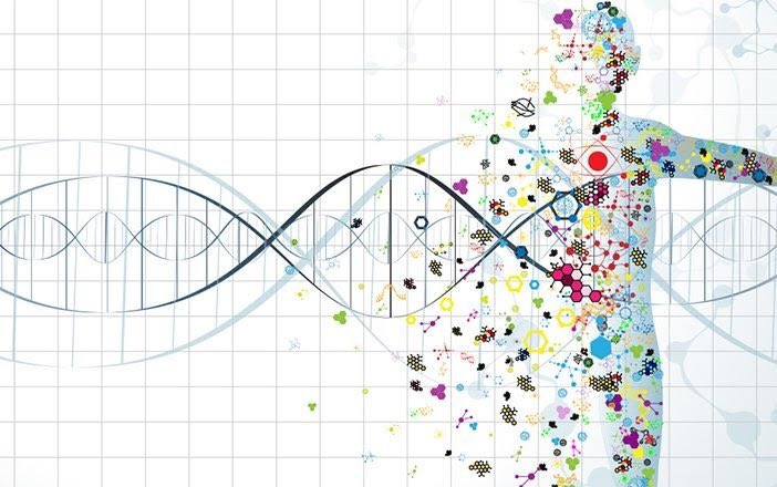 HeliosNeural's tweet image. ☝🏽 Imagine for one second, next time you see your doctor, your treatment is backed by data from millions of other patients globally. Precision Medicine driven by #HNN. #healthcare #ai #blockchain #ico #crypto