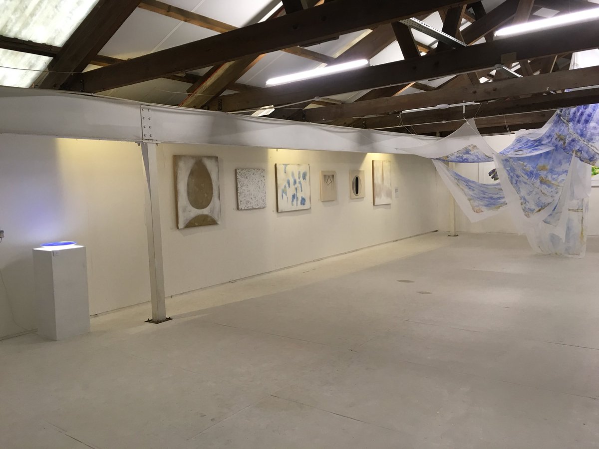 The Cat and the Box tweet media