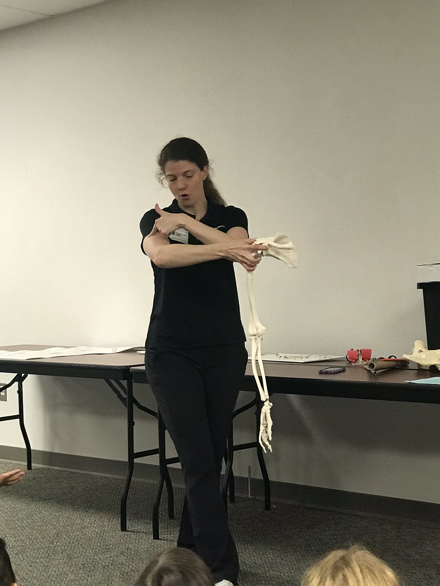 216princess216's tweet photo. Thank you to our PTA for bringing the Houston Museum of Natural Science! The kids loved the Body Works presentation and learning about bones! #wcerangers #katyisd #katyisd100 #bethelegacy #kinder20182019 #hmns  @WCERangers @stephaniekall @FionaSetna https://t.co/euP2b1dKDE