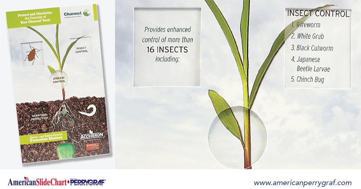 ascpgchart's tweet image. This pocket slider format is a user-friendly slide with 2 cut out reveal windows. Lists the insects/pests controlled by Acceleron’s Seed Treatment Program &amp;amp; the benefits of adding Poncho/Vito to the Acceleron. ed.gr/ywfo
#pullslider #productselector #pocketslider