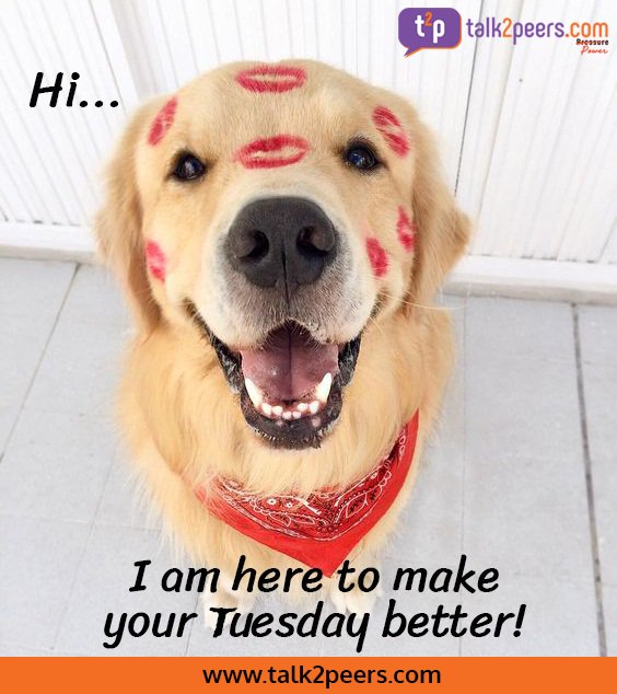 talk2peers's tweet photo. Is #Tuesday really that much better than Monday? Do let us know in the comments.  #talk2peers https://t.co/LmdoknGBZd