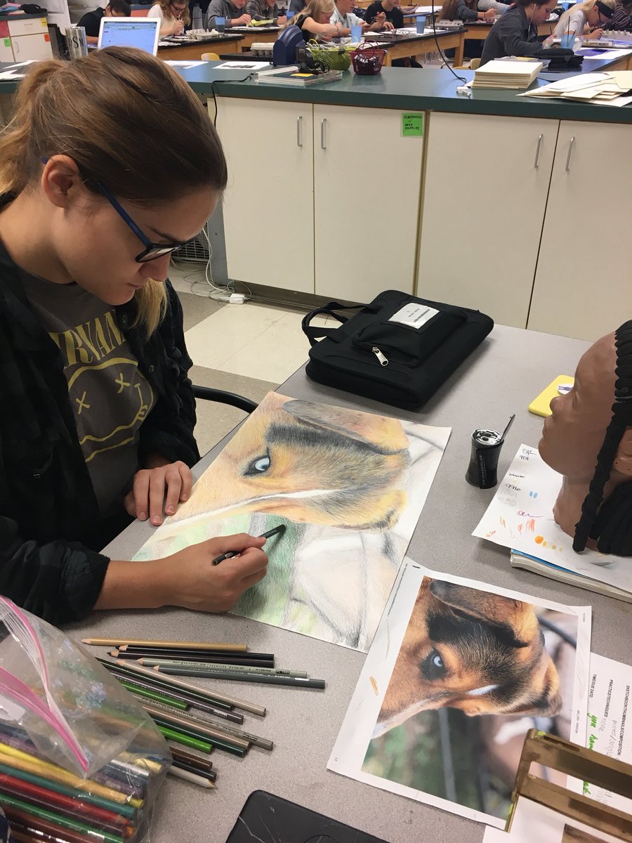 EHSvikingART's tweet photo. Karissa is knocking it out of the park with this colored pencil drawing!!! #seniorstudio #honorsart https://t.co/KNTqEHCBeC