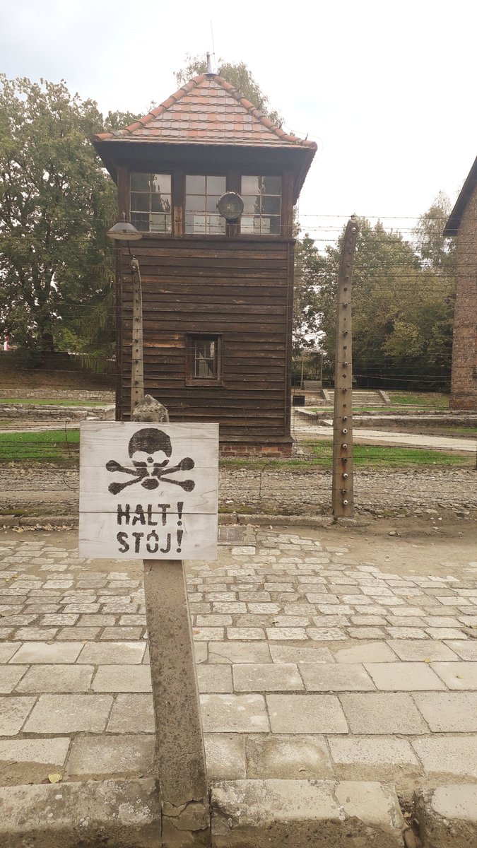 FansMilenio3's tweet photo. Impactante y recomendada visita a Auschwitz. https://t.co/hiVOyYKc4S