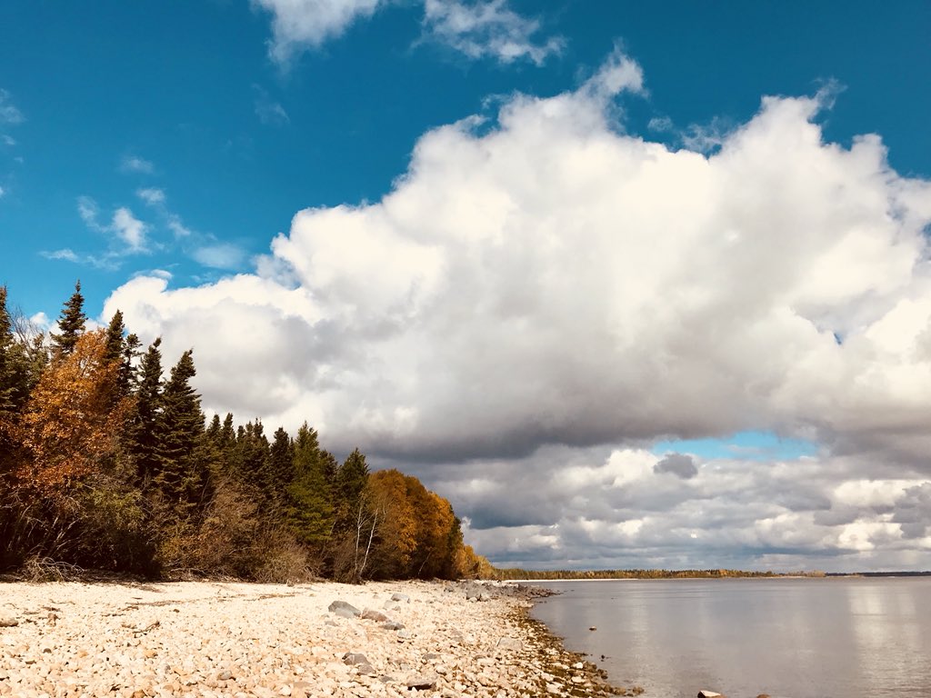 HudsonBayWQMS's tweet photo. Grand weather for sampling our #GrandRapids #LakeWinnipeg #NearshoreMonitoring site!
#fieldwork #fallcolours
#beattherain #sultrySeptember https://t.co/y9o2FD1Ew0