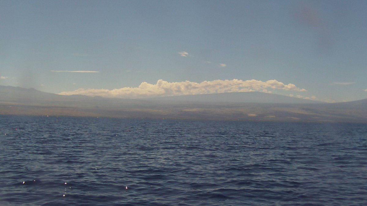 Art in autonomy #aloha #drone #hawaii #java #robotics
