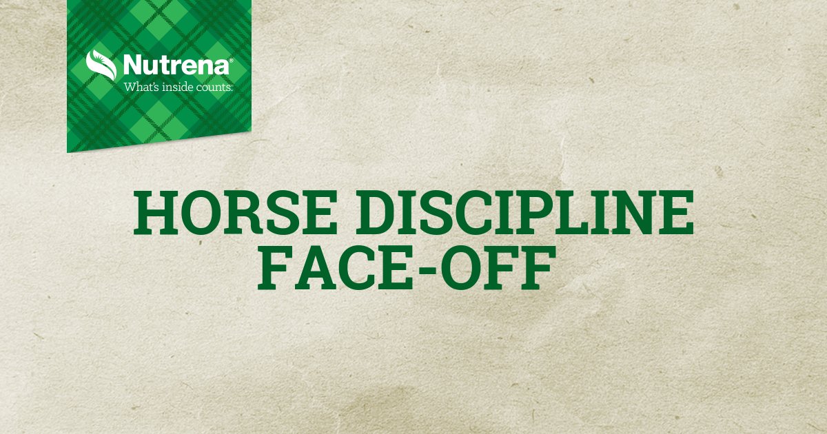 RosedaleMills's tweet photo. Which horse discipline will win? Make sure your vote counts! https://t.co/KAgpZaMTMc https://t.co/atkGrlIGzk