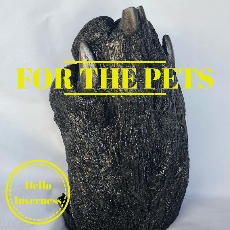 Big shout out to our team member, The Highland Casting Studio. Here is a cast they did for a customers pet. Quite special we would say! #Inverness #Highlands #Scotland