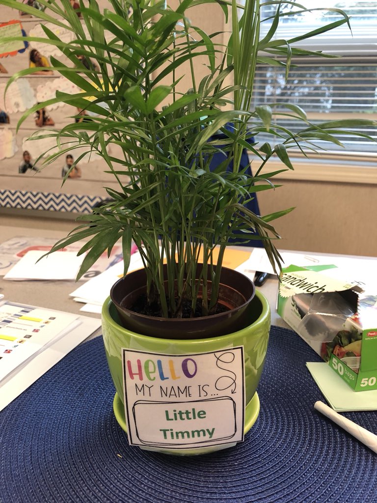 DrSmithMES's tweet photo. One of our classmates named all of our plants, because, why not? #plantsneedlovetoo. #weallhavevalue #buildingacommunity https://t.co/e6DD1jea6F