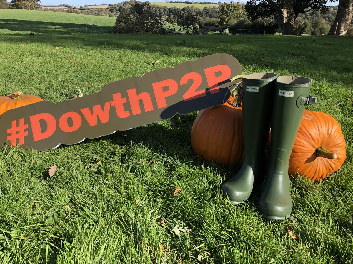 Dowth Point To Point tweet media
