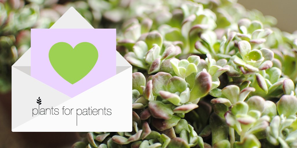 Drop some lines of love with us this Thursday <a href="/FrontStTaproom/">The Cellar - Comedy Club</a> ✏️🌿
facebook.com/events/1251700…