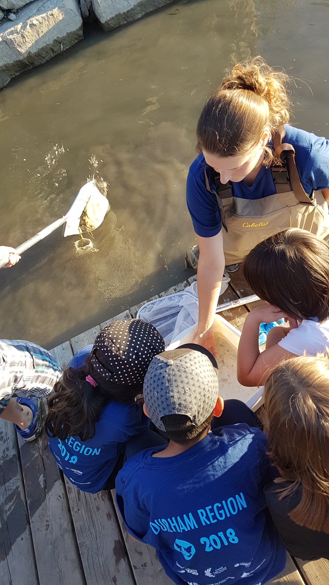 OntarioBioblitz's tweet photo. Help make #bioblitz2019 a reality - vote for our Big Idea in the @AvivaCanada #bettertogether community fund! Tell your friends, family, colleagues, neighbours, tell everybody! Keep the knowledge sharing #citizenscience alive! https://t.co/dlBGneplg6