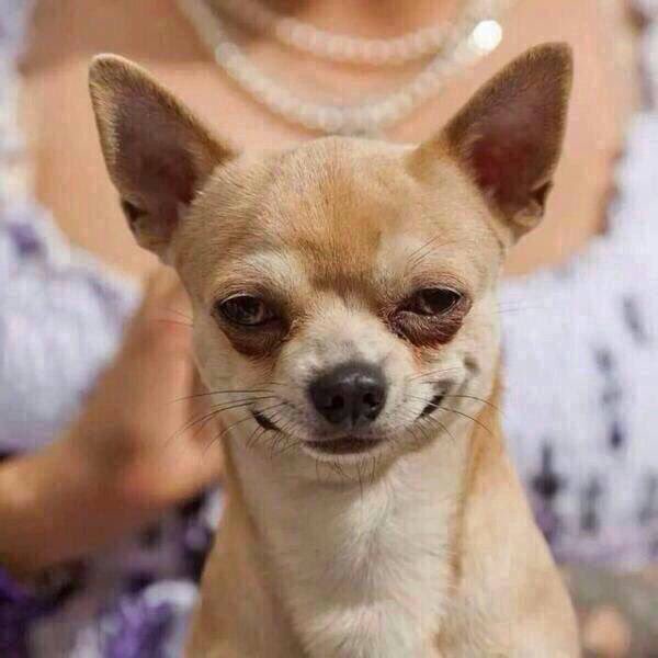 Nick_k1aus's tweet photo. Did you lock your door...

Best sentence ever 😁😁 https://t.co/Okd3YuyVOa