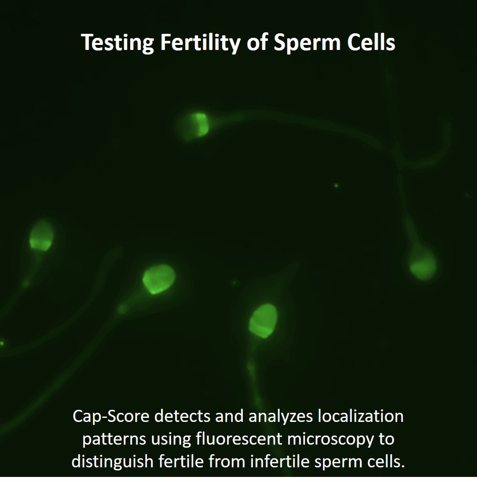 AndroviaLife's tweet photo. Here’s an inside look at #CapScore. This groundbreaking technology measures &amp; ranks a man’s #fertility. https://t.co/gnLrGwENl0 #SemenAnalysis #MaleFertility #MensHealth https://t.co/WLrZ91Fktm