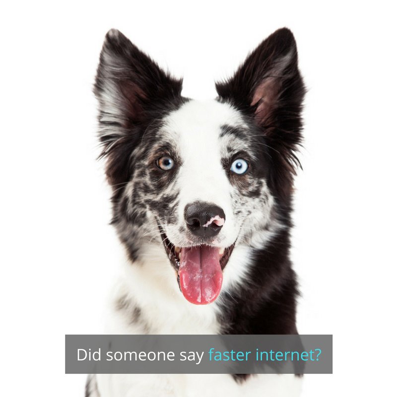 WifiCleaner's tweet image. What do we want?
Faster internet!
When do we want it?
Now!
We got fed up with slow Wifi, so we created @WifiCleaner to help everyone get fast internet in all corners of their homes. Download our free app for Android today in the Google Play store or on wificleaner.com