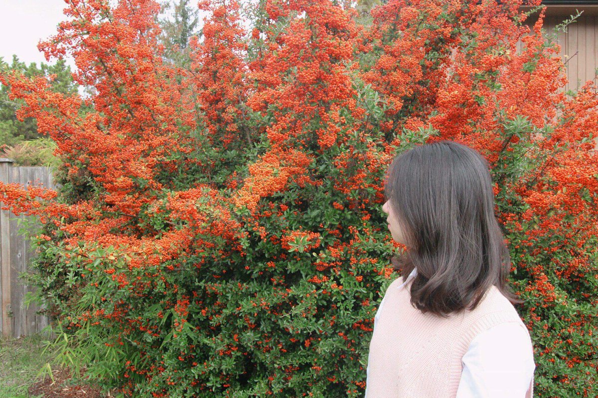 Malisa_Zhao's tweet photo. Weeeeekend! https://t.co/kXRt0j4nQg