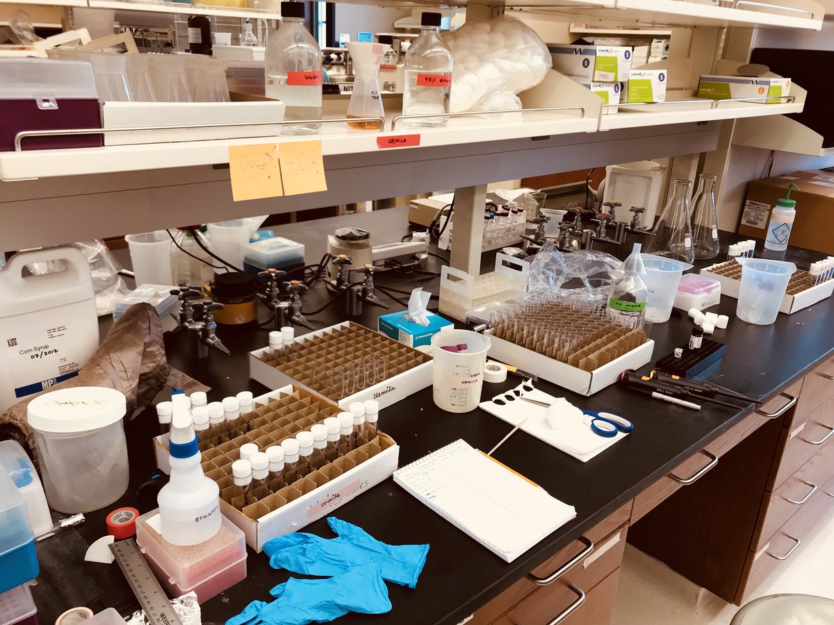 ciesla_lukasz's tweet photo. #PotionLab members work hard on different projects： developing new tools to screen complex samples for biologically active compounds &amp; testing neurohormetic phytochemicals in Drosophila.
@UaDeptBSC @UofAlabama #science #plants #drugdiscovery #phytochemistry #Drosophila #students https://t.co/HWVu0ieqmj