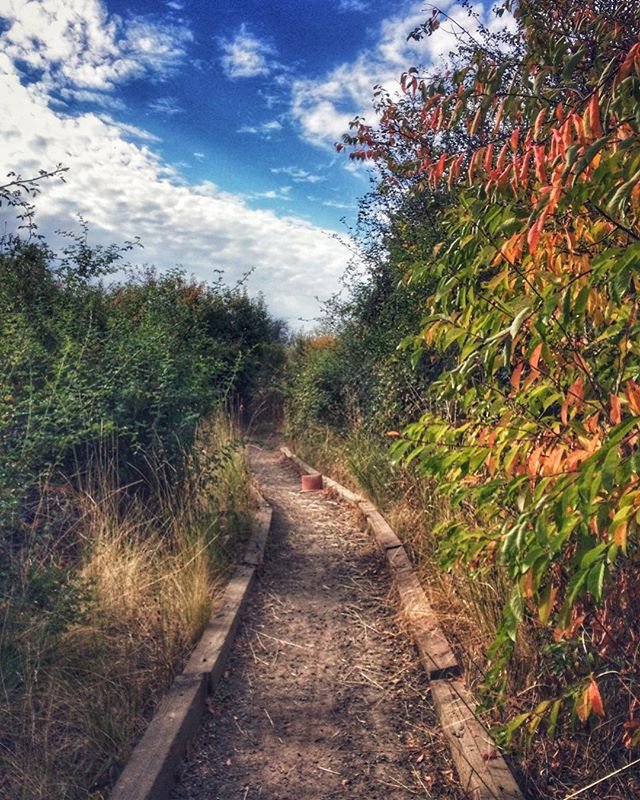 September vibes in Walla Walla. 🍂

📷: @zegingerqueen