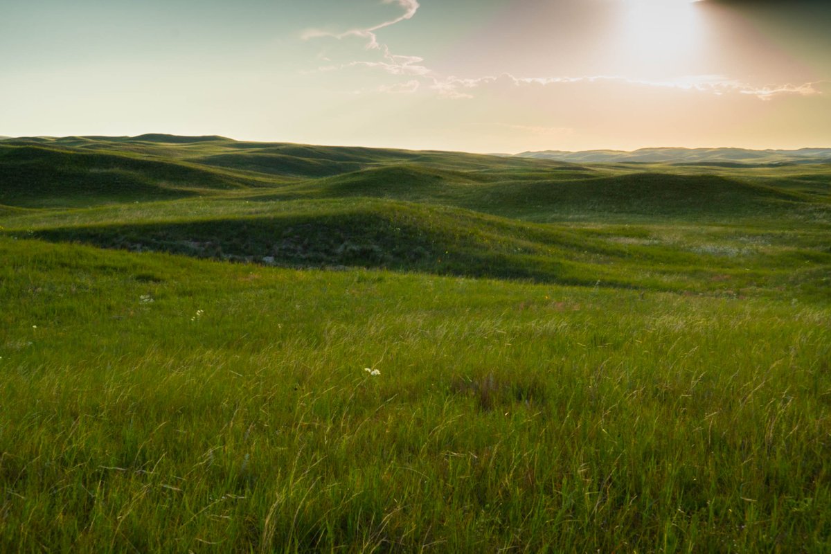 Lashley Land (LashleyLand) Twitter