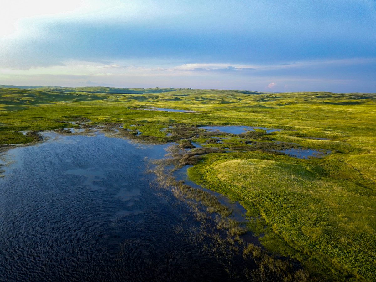 Lashley Land (LashleyLand) Twitter